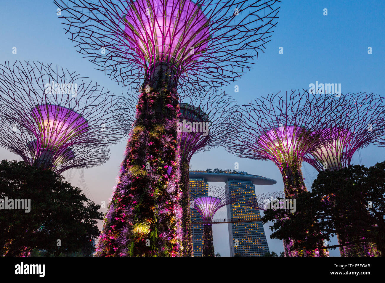 Night view gardens bay singapore hi-res stock photography and images ...