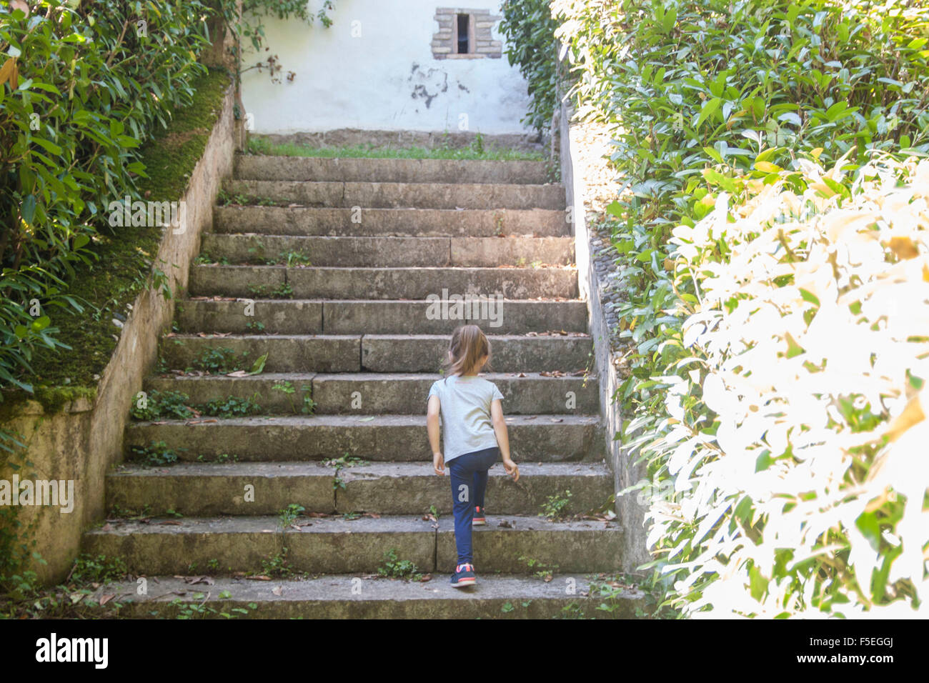 Rear view of girl walking up steps Stock Photo