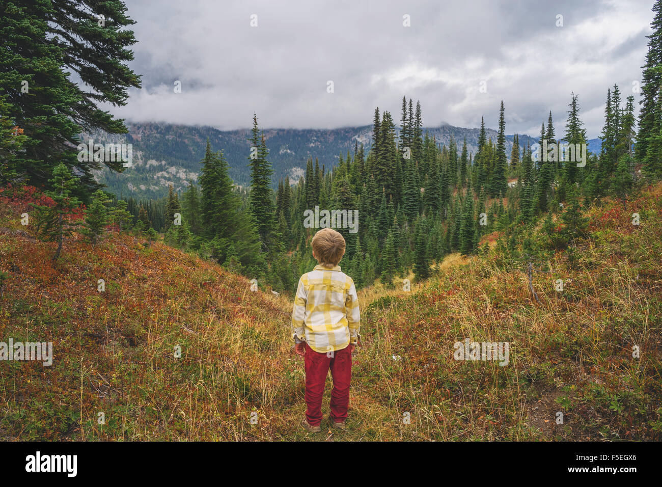 Rear view of a boy standing on a mountain looking at view Stock Photo ...