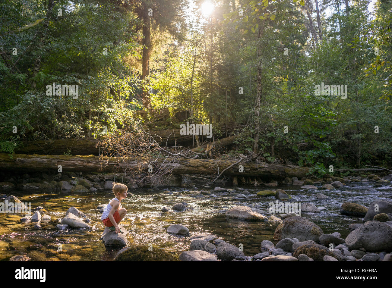 Boy sitting on a rock in forest creek Stock Photo