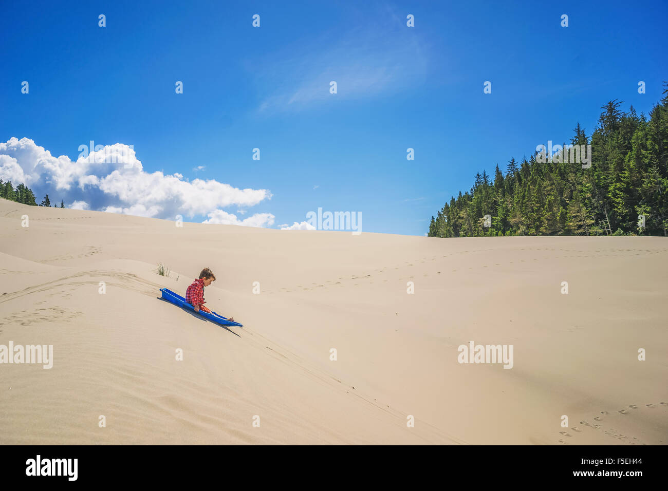 Boy sledding down sand dune Stock Photo