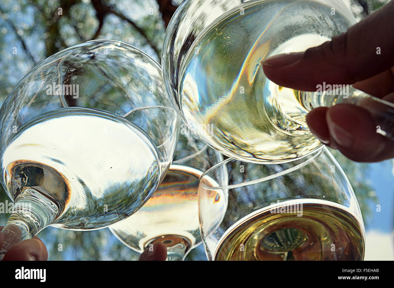 Four people Toasting with wine Stock Photo