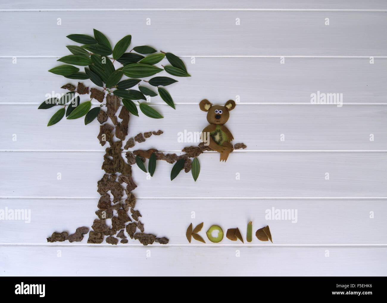 Life of a koala bear hi-res stock photography and images - Alamy