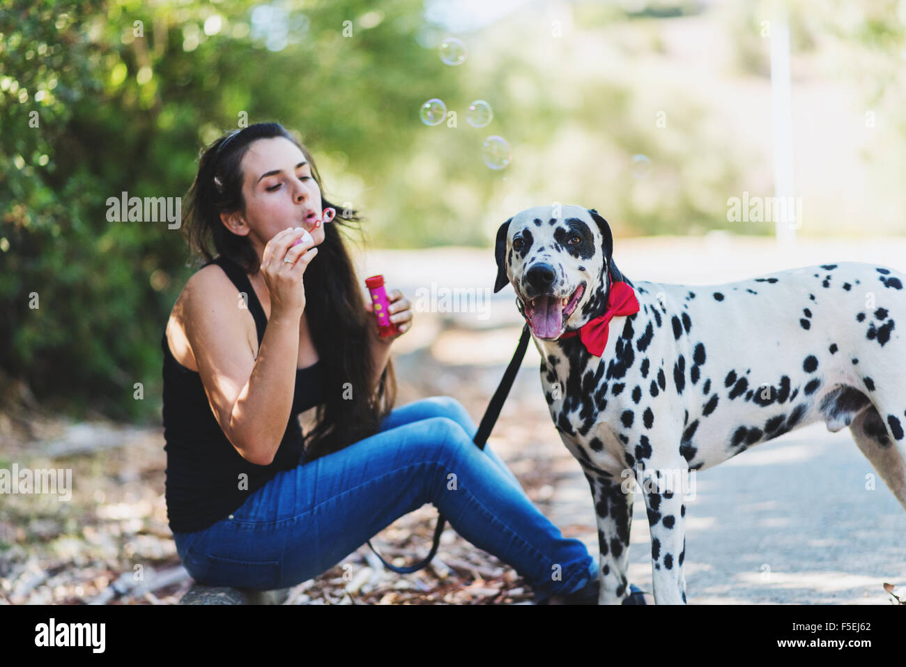 Dog Bubbles Soap High Resolution Stock Photography and Images Alamy