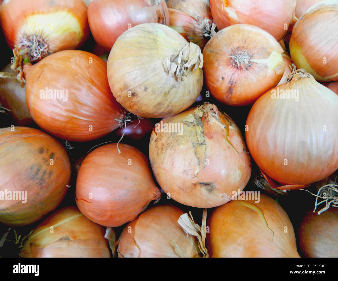 Onions at the market stall exposed to customers. Stock Photo