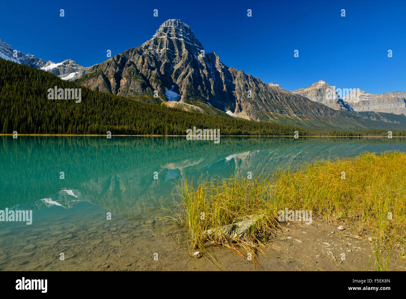 Mt. Chephren reflections in Waterfowl Lake, Banff National Park, Alberta, Canada Stock Photo