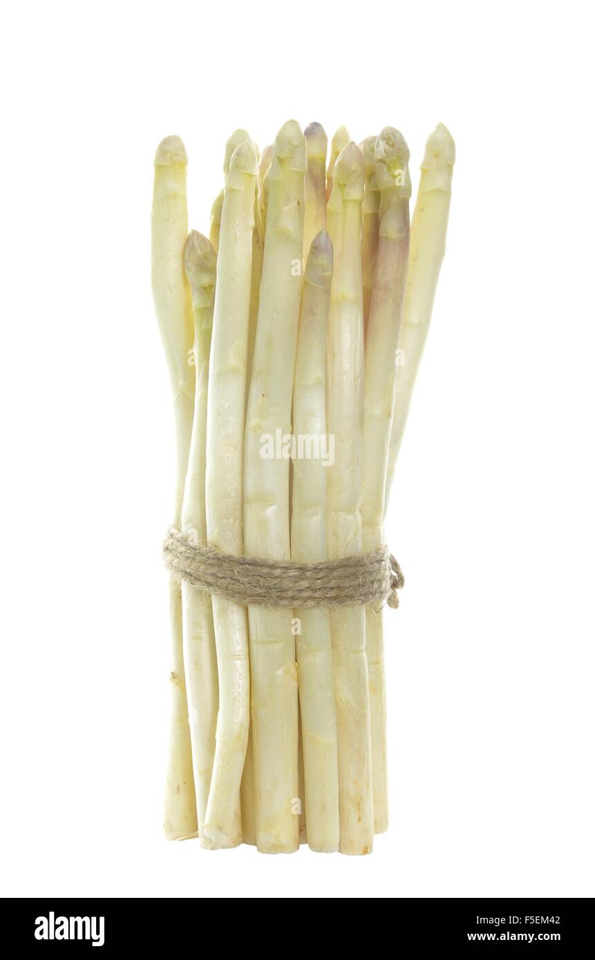 bundle of white  asparagus on white background Stock Photo
