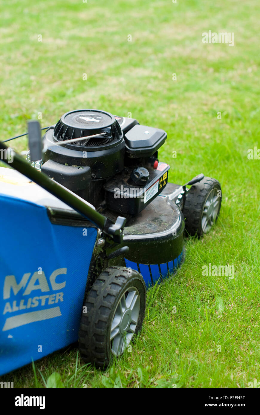 Macallister hi-res stock photography and images - Alamy