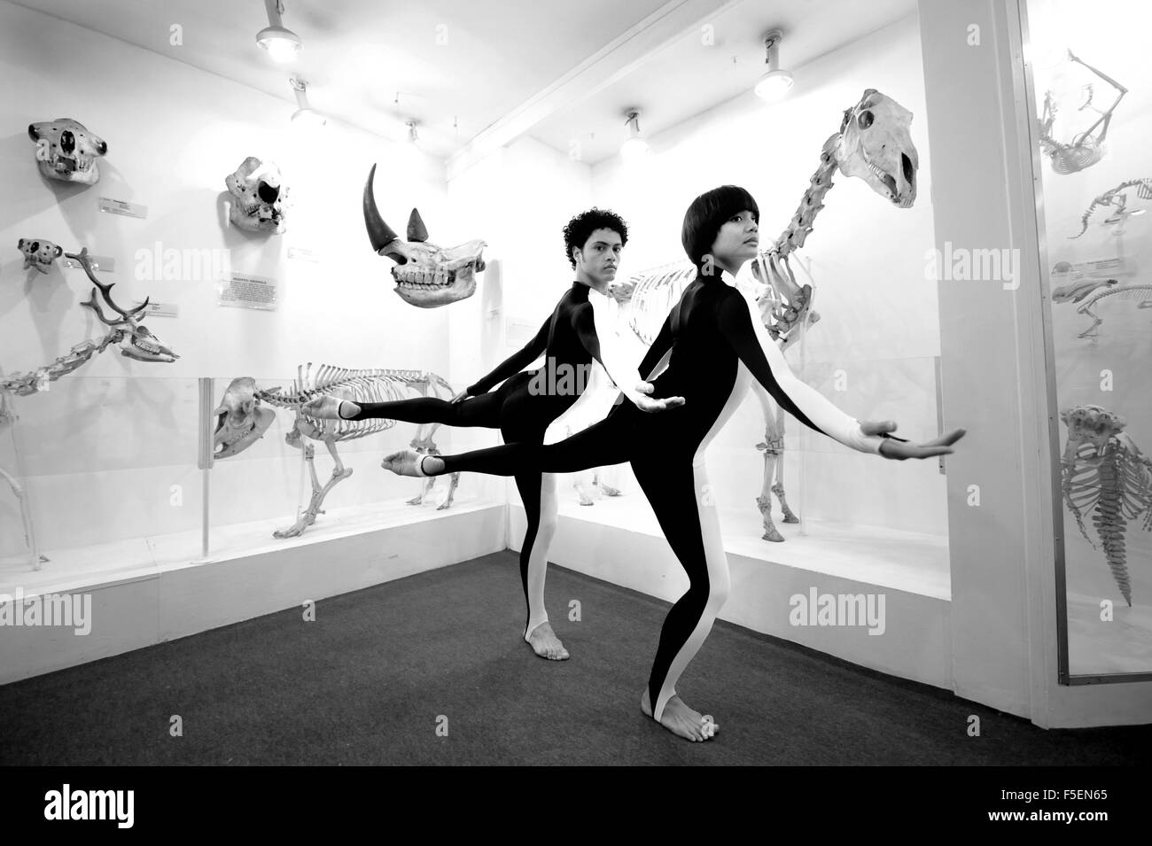 Antoinette Dayrit and Dane Hurst from the Rambert Dance Company take time out from their show at the Theatre Royal Brighton to perform amongst exhibits at the Booth Museum . The extract from the Comedy of Change commemorates Charles Darwin Year  Photograph taken February 2010 Stock Photo