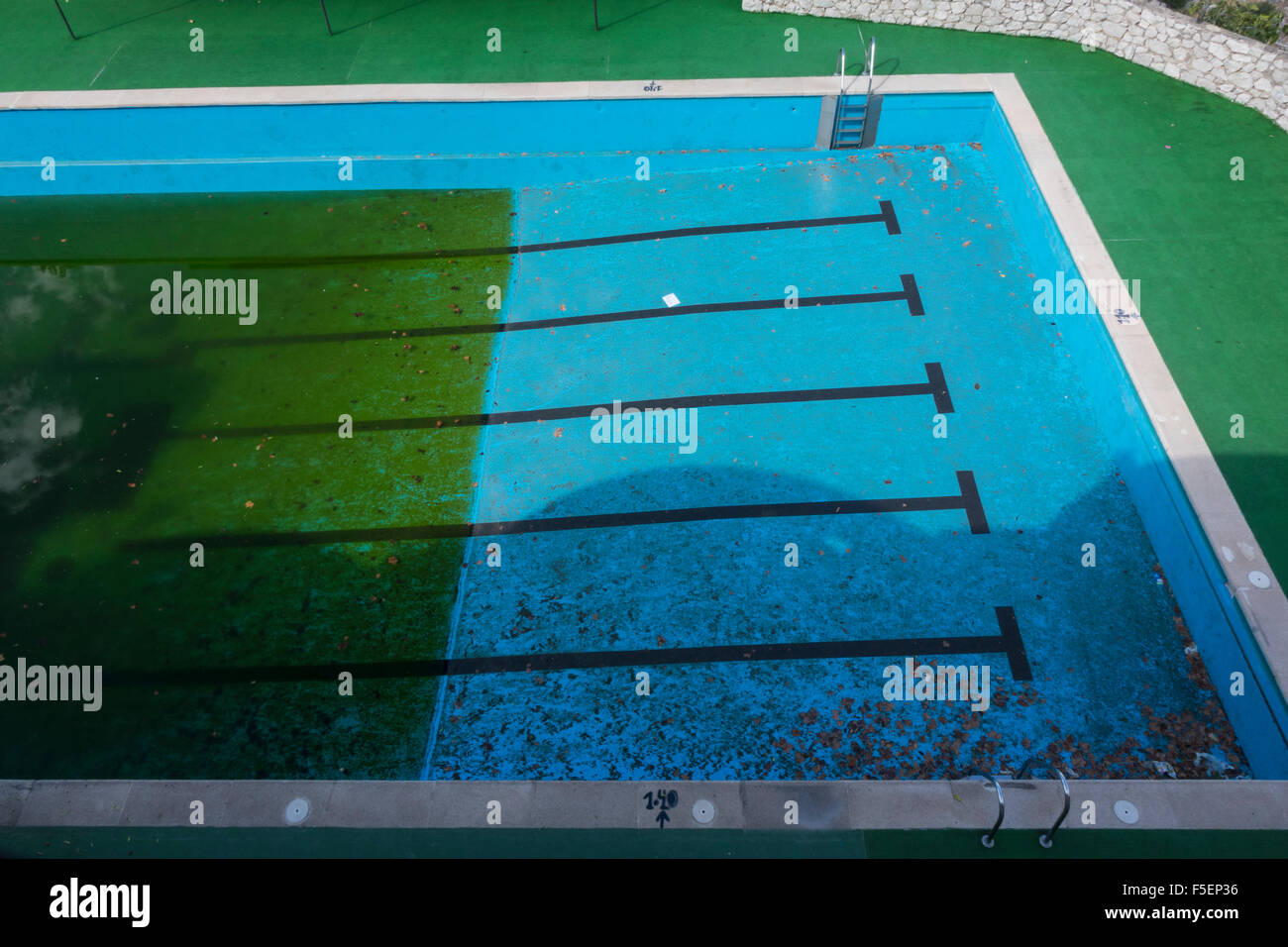 Dirty old abandoned public swimming pool half filled with green algae due to stagnant water and lack of proper pool cleaning Stock Photo