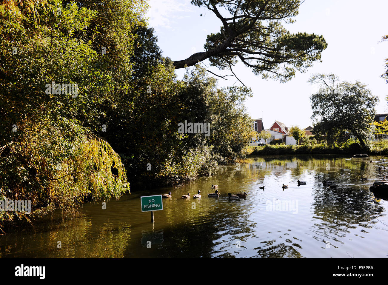 Ferring Village Sussex High Resolution Stock Photography and Images Alamy