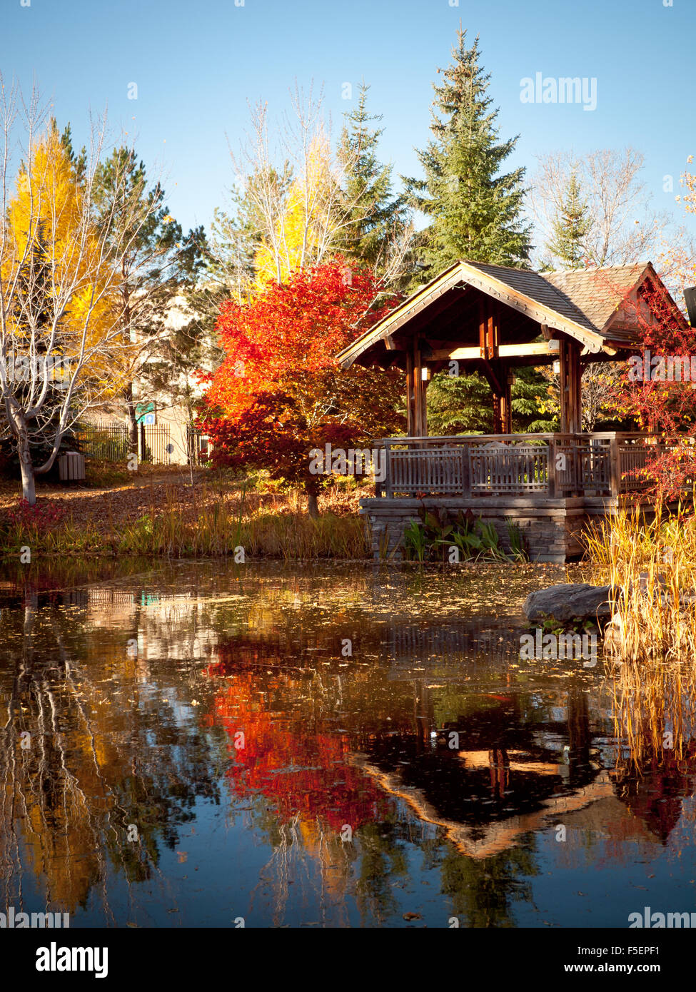 The covered pavilion and koi pond at Garden Park (Boffins Public House), Innovation Place in Saskatoon, Saskatchewan, Canada. Stock Photo