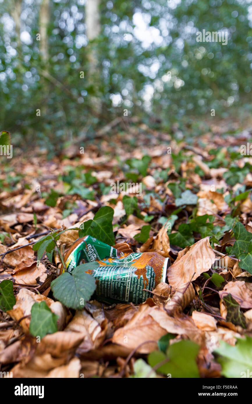 Discarded rusty drinks can in among the fallen leaves in woodland in Autumn, portrait orientation. Stock Photo