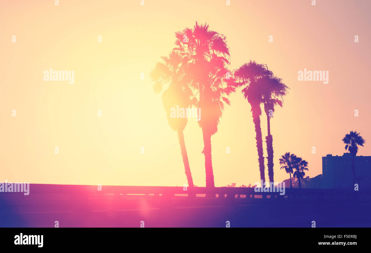 Vintage stylized picture of palms silhouettes at sunset, space for text, Santa Monica, USA. Stock Photo