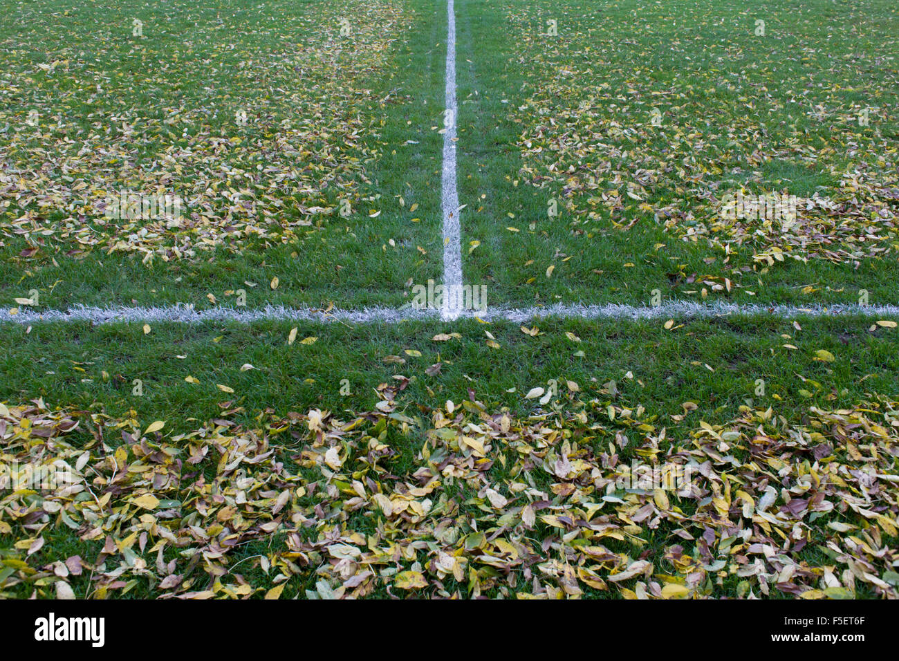 The leaves dropped from overhead ash trees have been blown off football pitch lines by council workers in Ruskin Park, London. Stock Photo