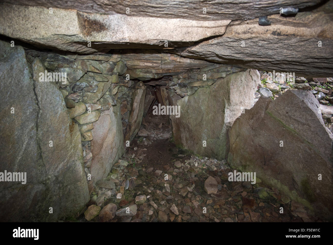 The Cairn Inside buy