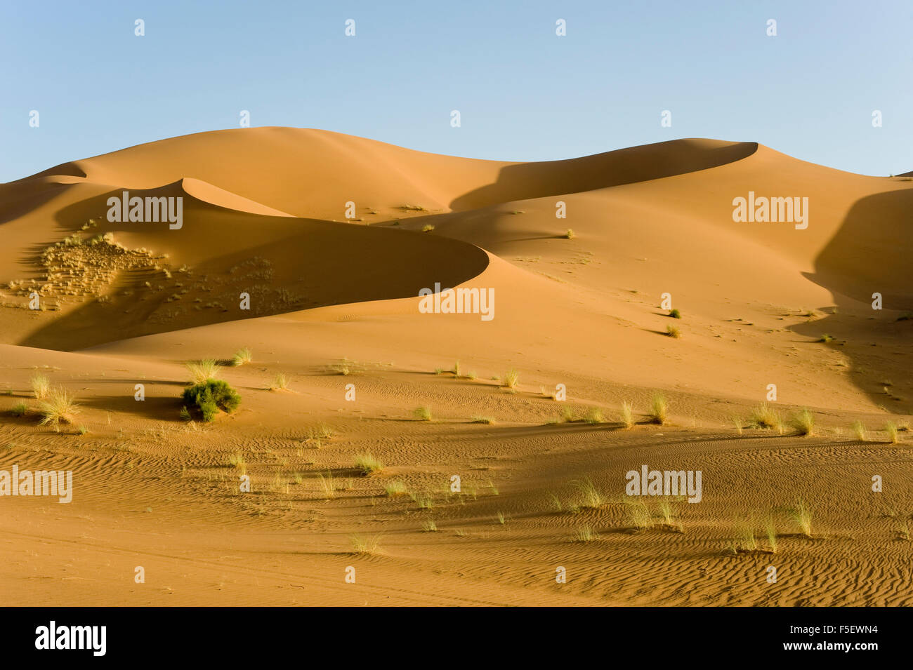 Sand dunes of Sahara desert Stock Photo - Alamy