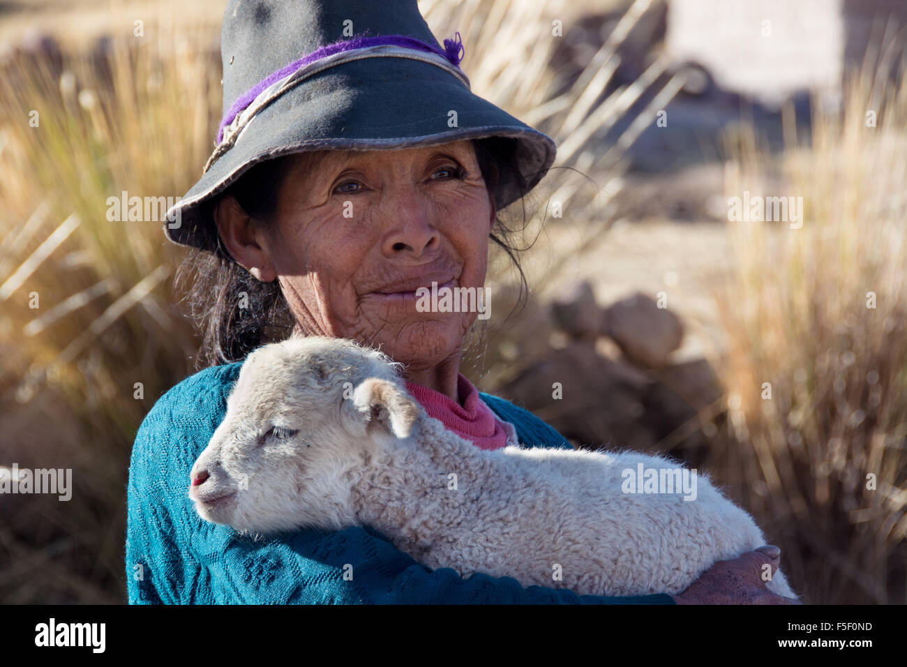 Native Peruvian woman wearing hat, carrying young lamb, Cusco, Peru Stock Photo