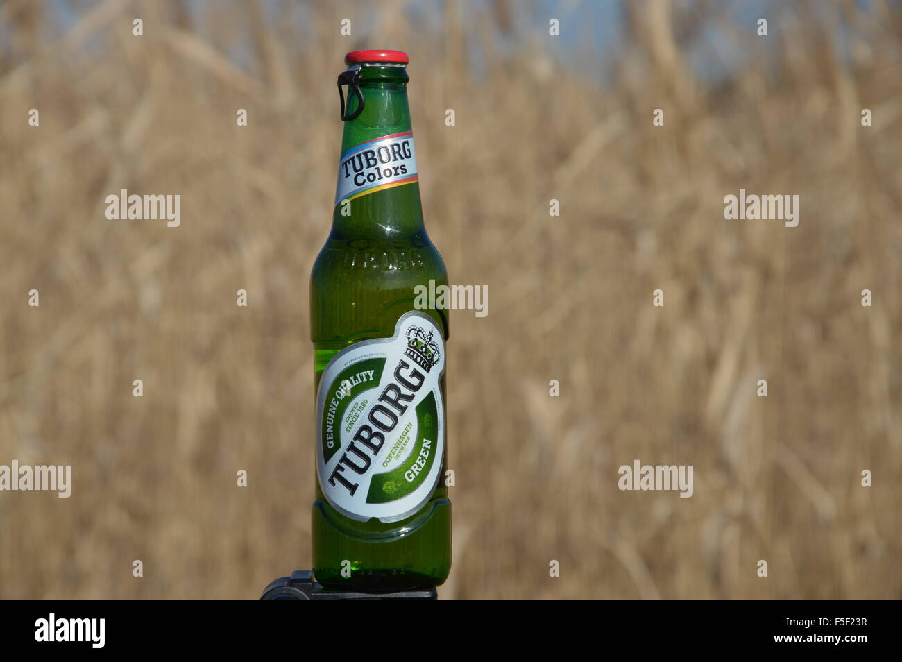 Beer Tuborg Hi Res Stock Photography And Images Alamy