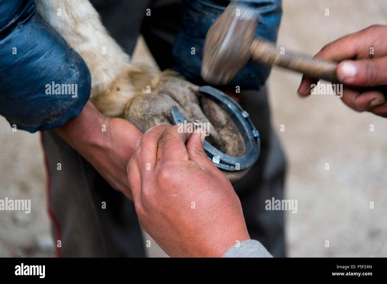 Horse shoe nails hires stock photography and images Alamy