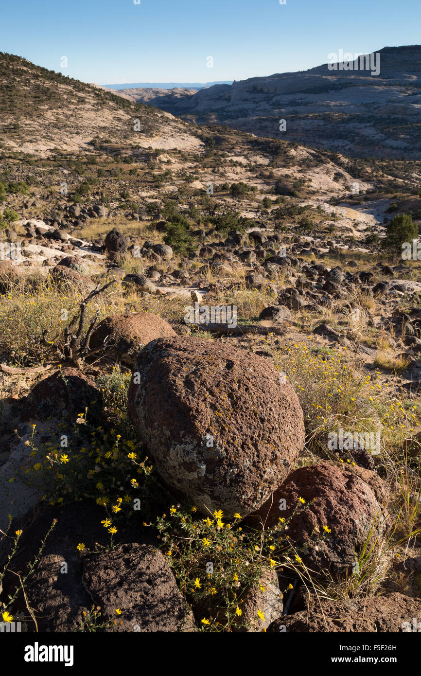 Basalt boulders lining the Upper Calf Creek Falls Trail, Grand ...