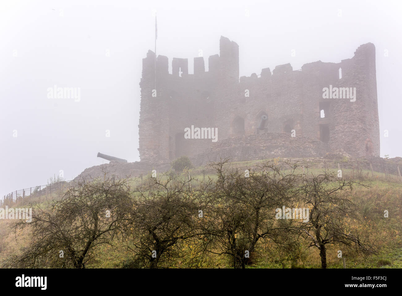 Dudley Castle surrounded by fog at Dudley Zoo West Midlands UK Stock