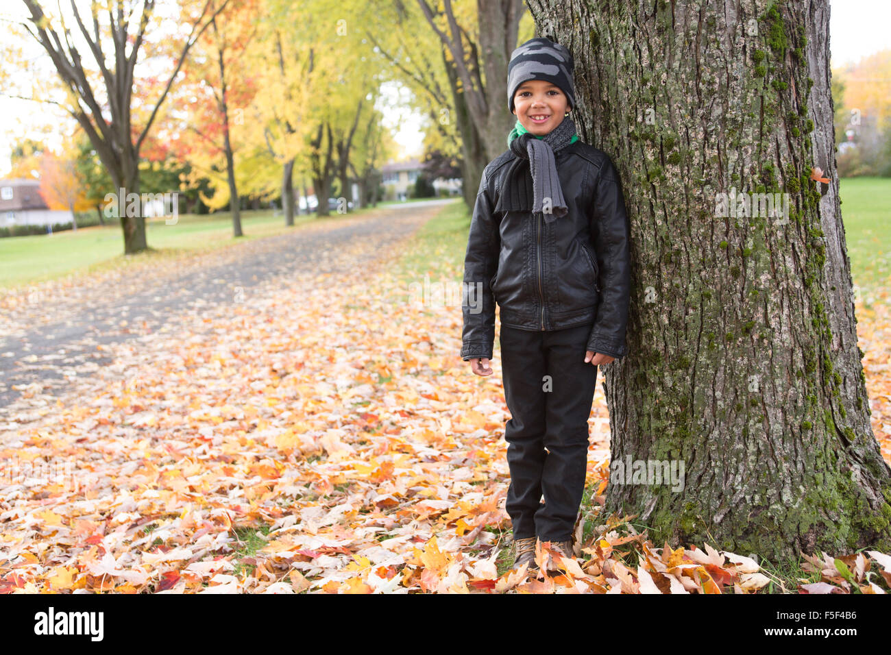 cute boy with autumn leaves in the park Stock Photo - Alamy
