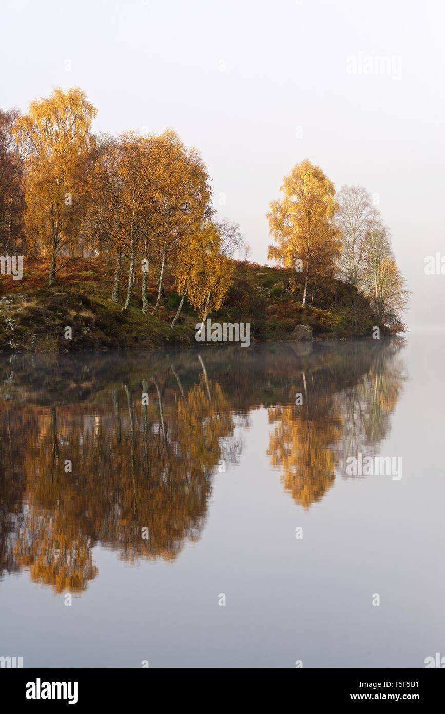 Autumn colours showing on the wooded banks of Loch Tummel Stock Photo