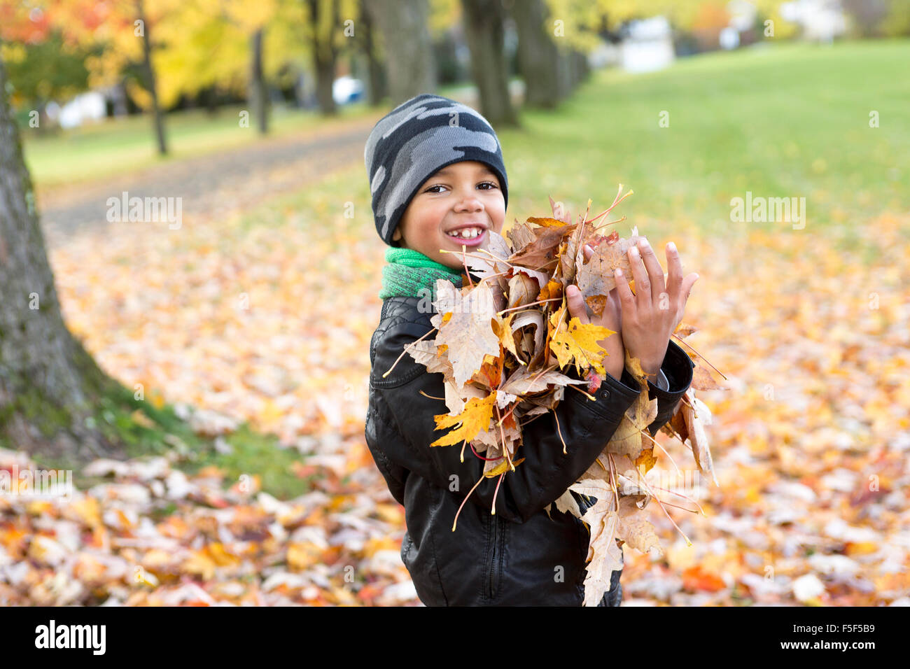 cute boy with autumn leaves in the park Stock Photo - Alamy