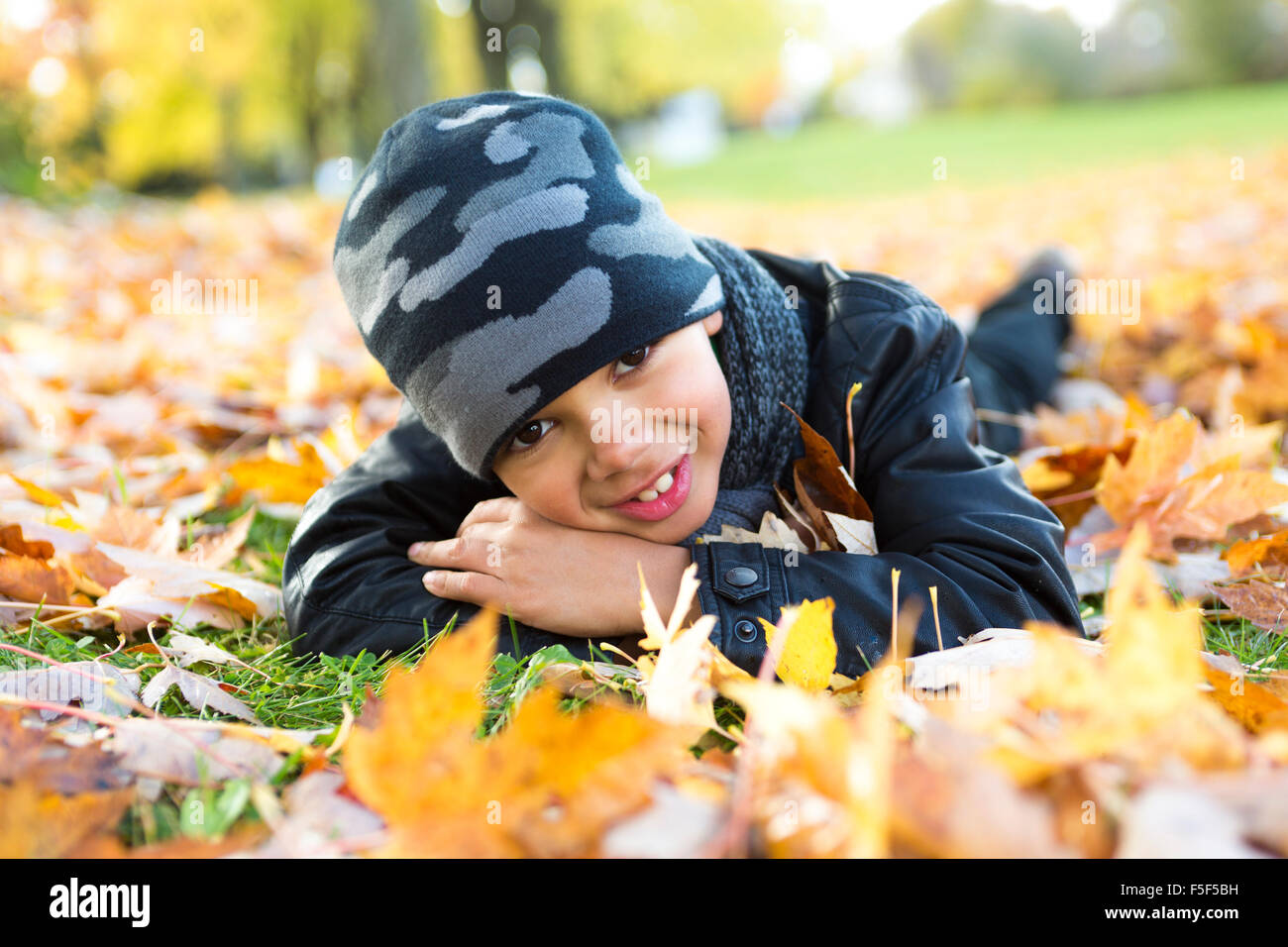 cute boy with autumn leaves in the park Stock Photo - Alamy