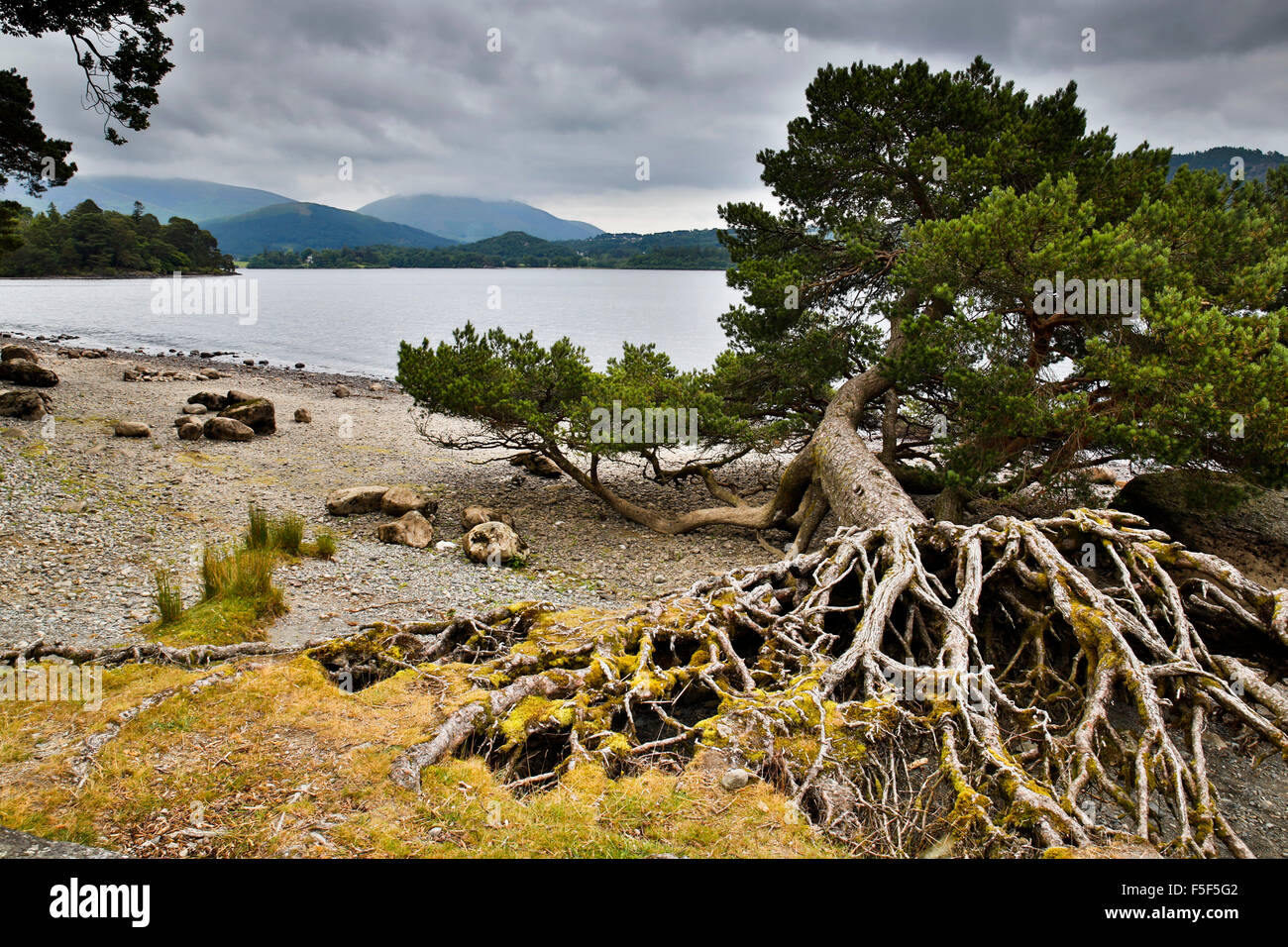 Derwent Water; Cumbria; UK Stock Photo