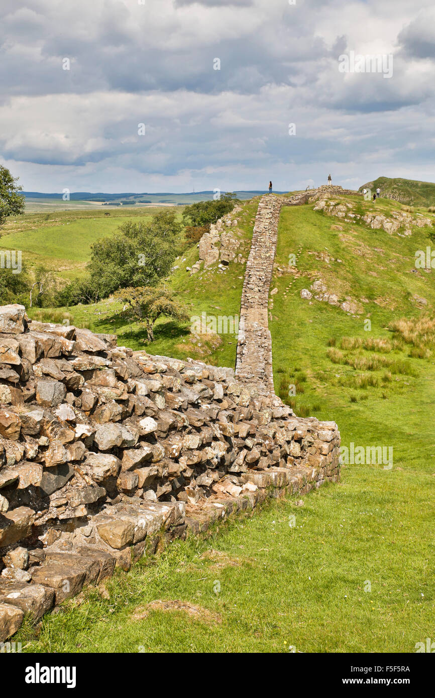 Hadrian's Wall; Northumberland; UK Stock Photo