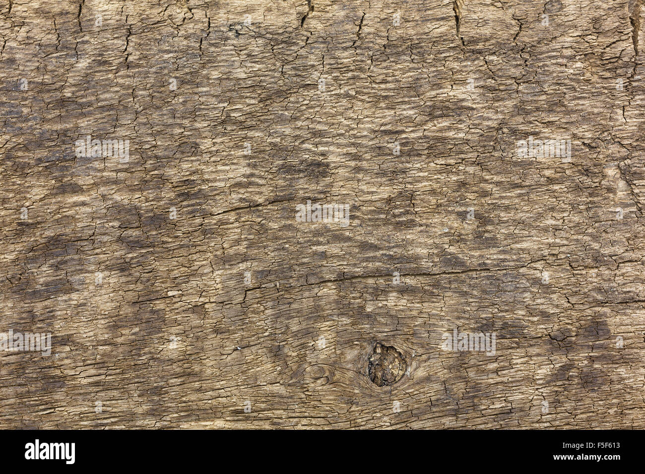 A very weathered old board that is cracked with a small knot. Stock Photo