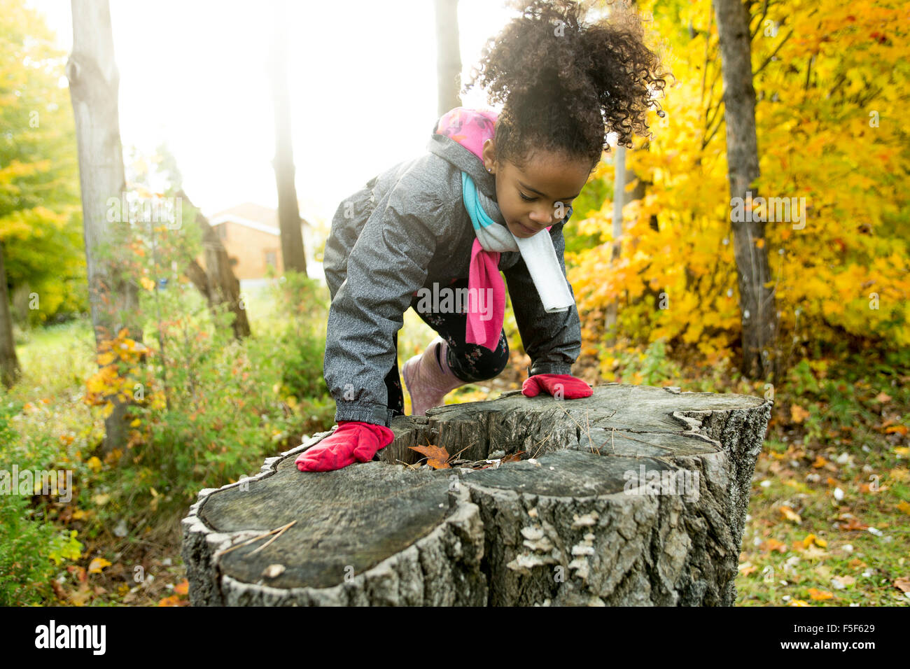 Child on autumn season portrait Stock Photo - Alamy