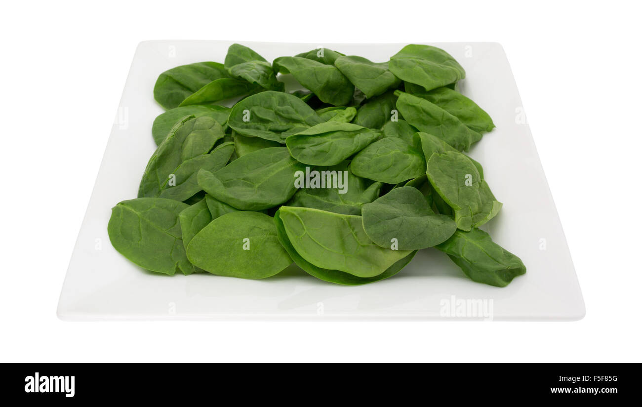 A serving of baby spinach on a square plate isolated on a white