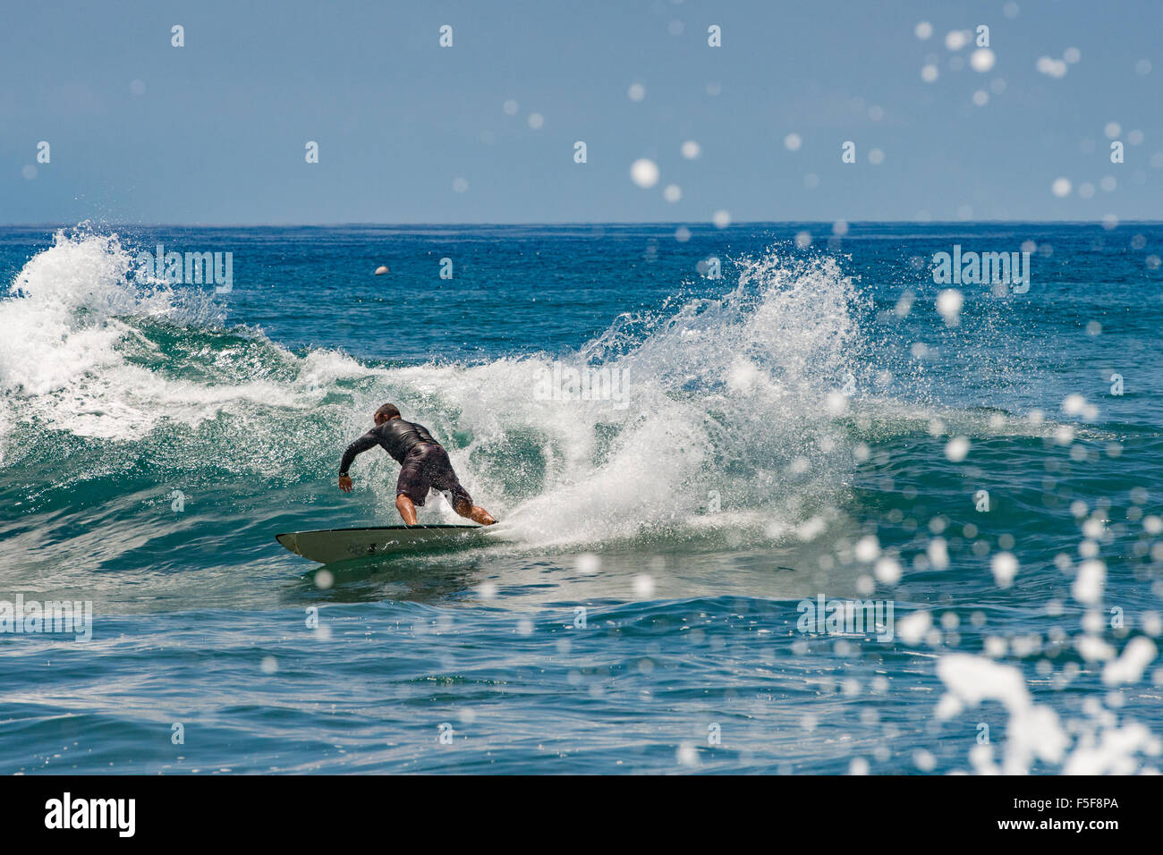 Surfer at Lahaina Harbor, Maui, Hawaii, Stock Photo