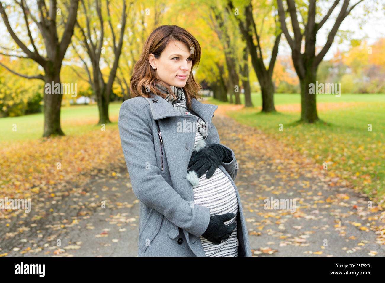 Beautiful pregnant woman in the autumn park Stock Photo - Alamy