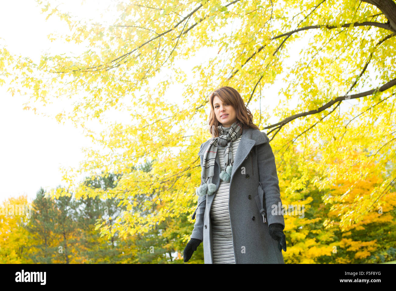 Beautiful pregnant woman in the autumn park Stock Photo - Alamy