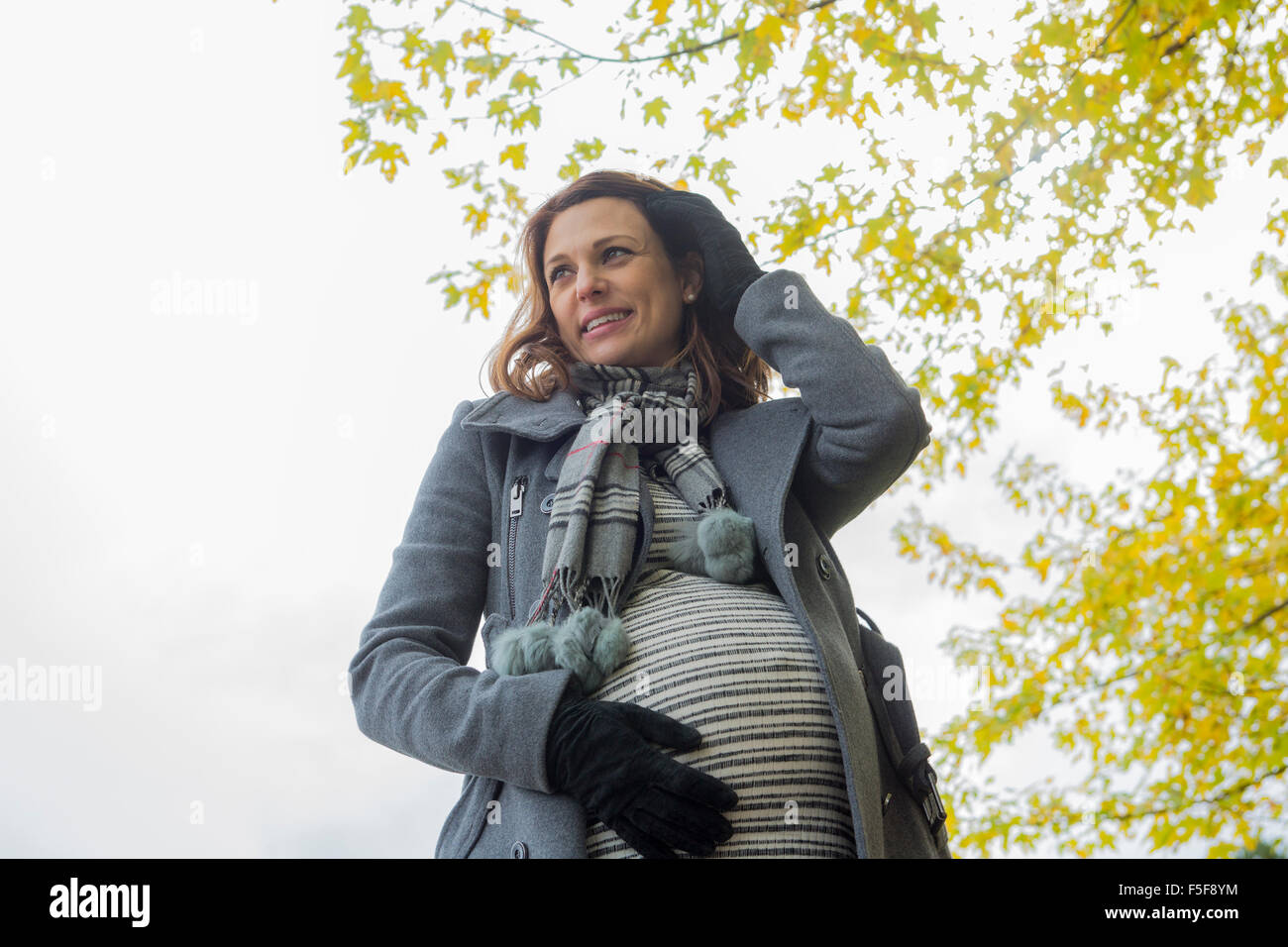 Beautiful pregnant woman in the autumn park Stock Photo - Alamy