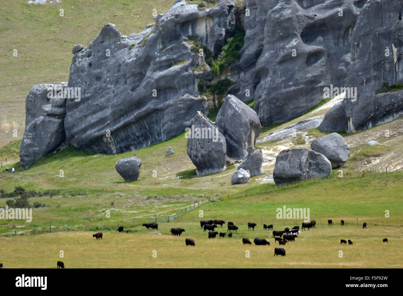Geological limestone formations at Kura Tawhiti or Castle Hill Conservation Area, Arthur's Pass, South Island, New Zealand Stock Photo