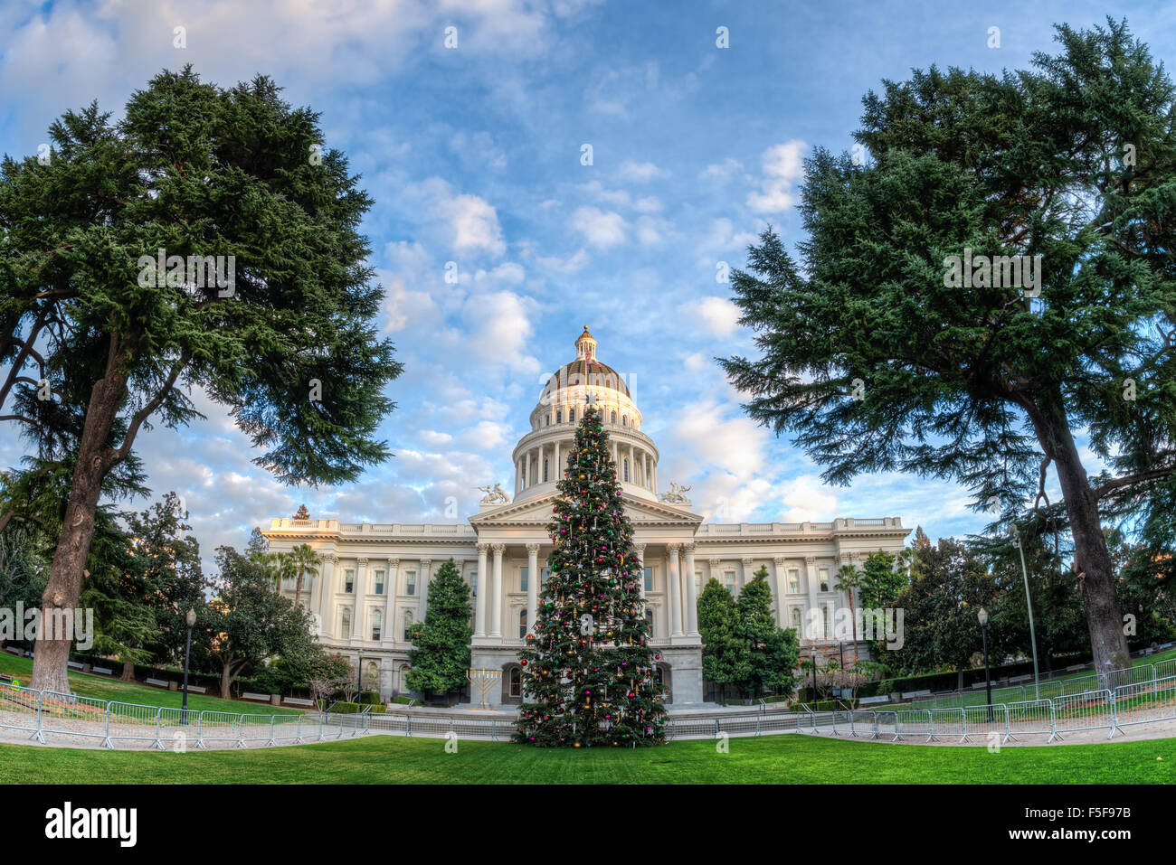 Wide angle view of the Capital Christmas tree in front of the