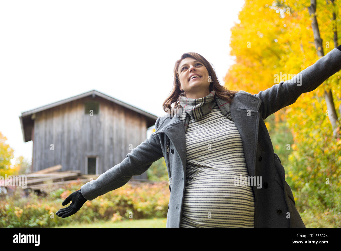 Beautiful pregnant woman in the autumn park Stock Photo - Alamy