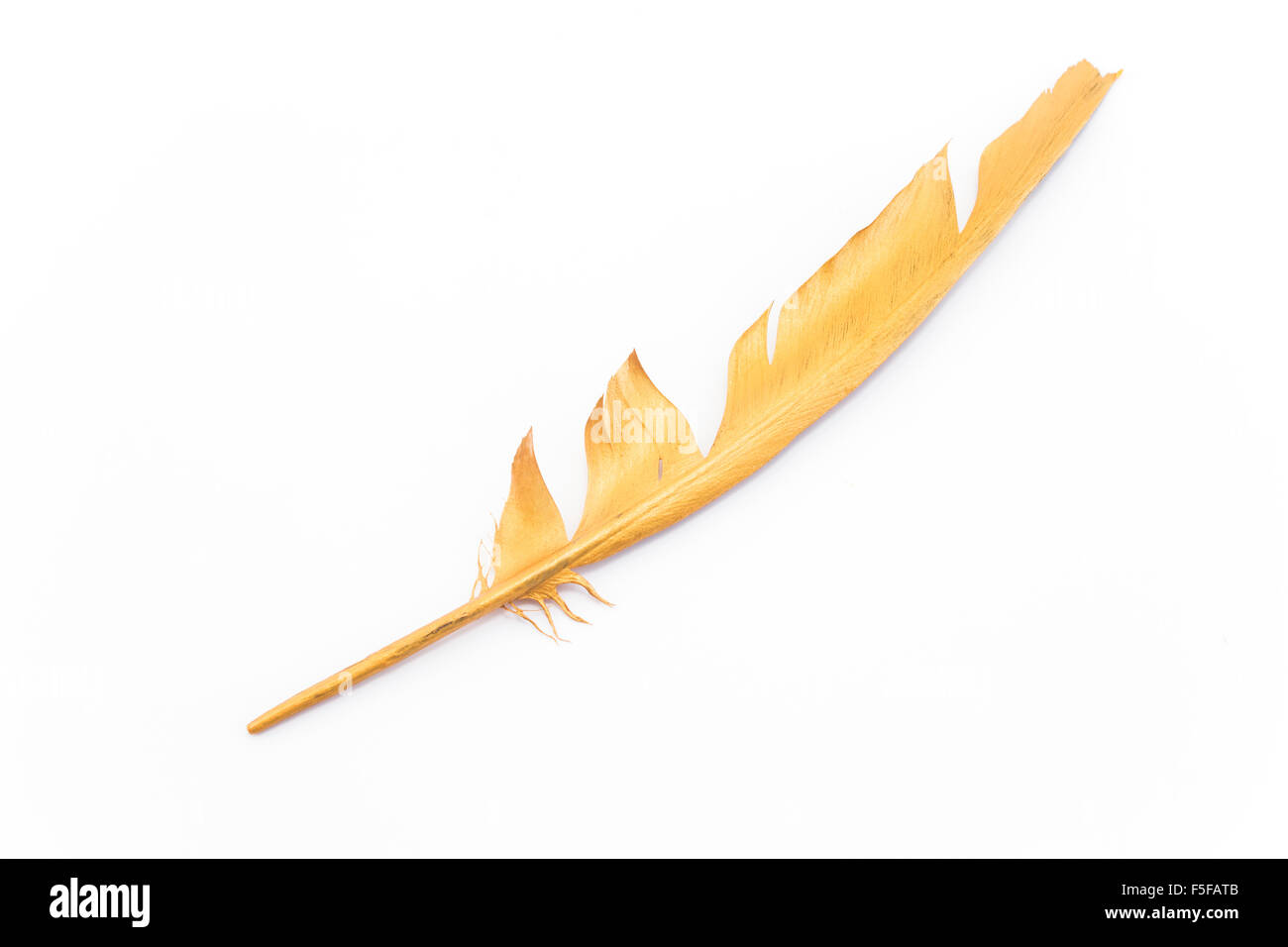Gold Feather Stock Photos & Gold Feather Stock Images - Alamy