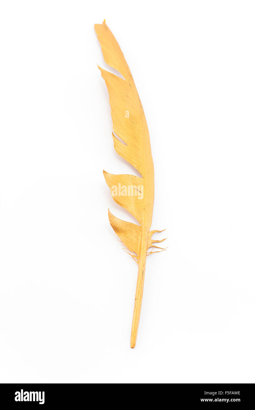 Gold Feather Stock Photos & Gold Feather Stock Images - Alamy