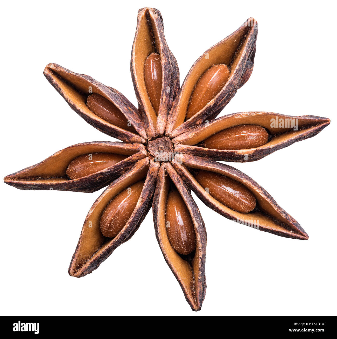 Anise star with seeds in it. File is of high quality and contains