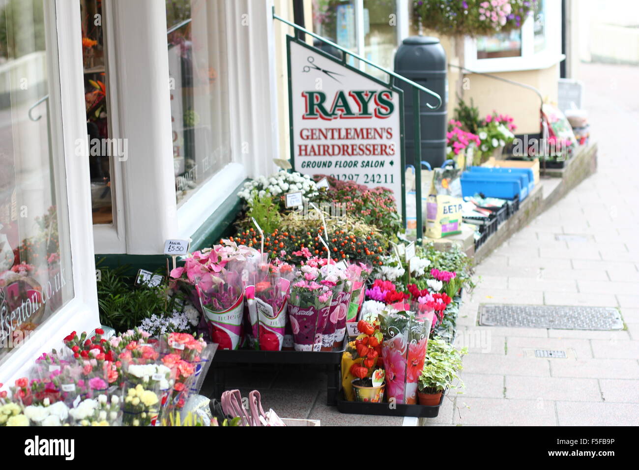 Shop flower display Stock Photo Alamy
