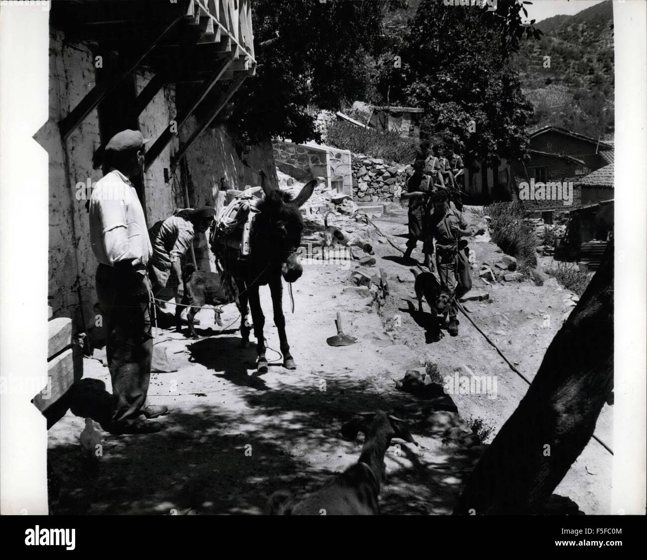 1967 - British Troops Ork there way through a Cyprus Village, Led b a Tracker dog. © Keystone Pictures USA/ZUMAPRESS.com/Alamy Live News Stock Photo