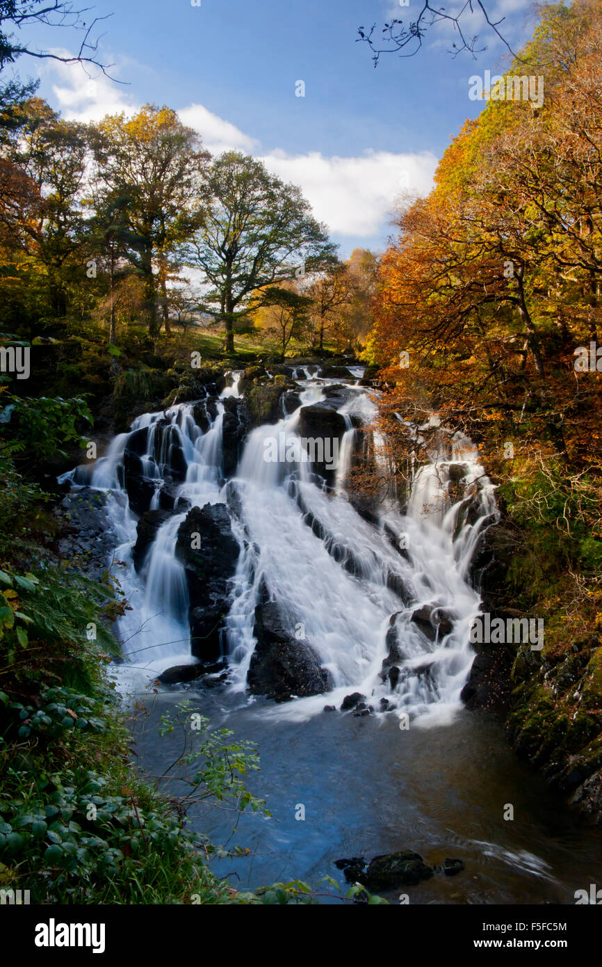Swallow Falls in autumn Rhaeadr Ewynnol Near Betws-y-Coed Snowdonia National Park Conwy County North Wales UK Stock Photo