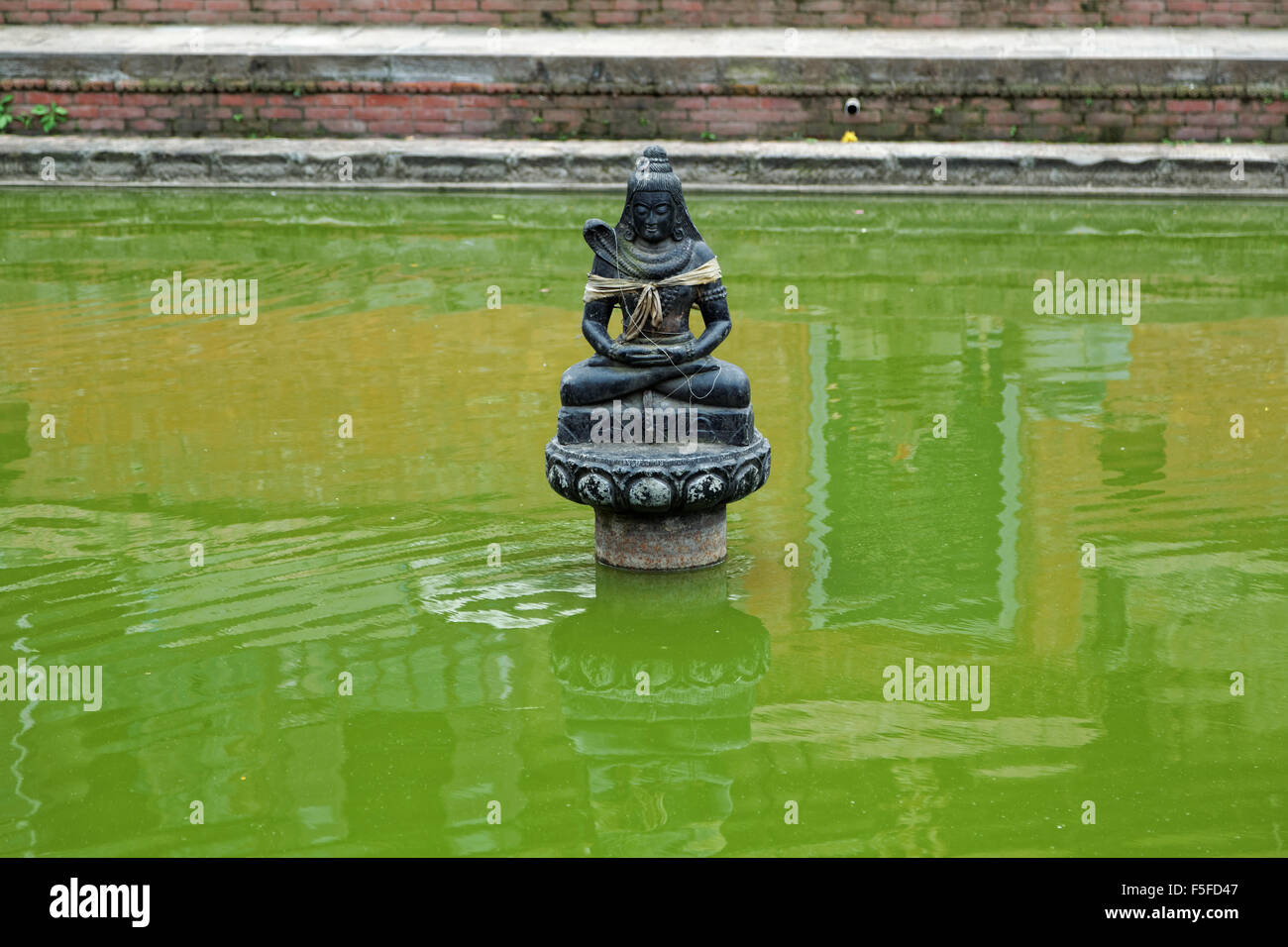 Buddha statue  in a green pond Stock Photo