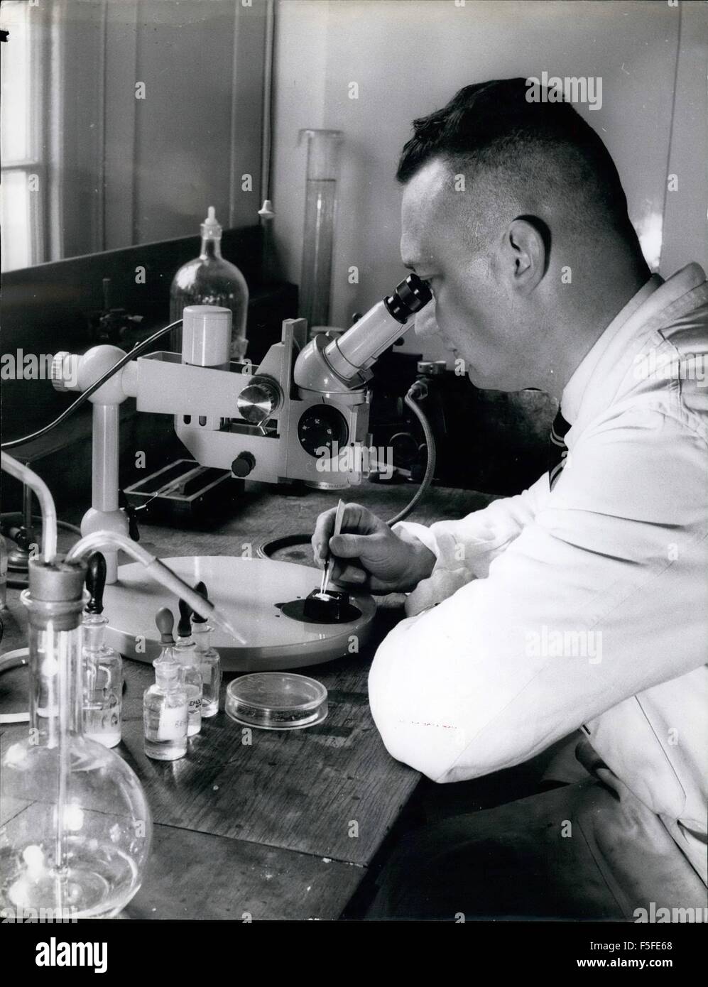 1967 Modern Microscopes; A modern binocular microscope known as a